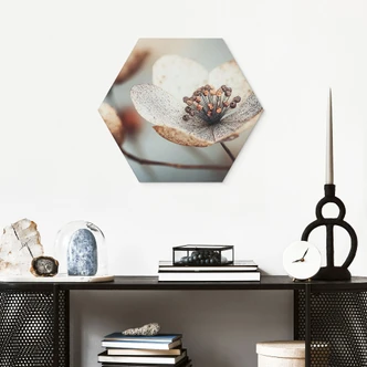 Hexagon Wandbild Boho Trockenblume Makro - Treechild - Alu-Dibond 