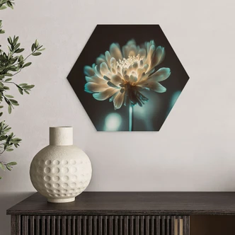 Hexagon Wandbild Leuchtendes Blütenherz - Treechild - Alu-Dibond 