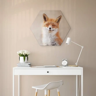 Hexagon Dibond van Duijn - Happy Fox Hexagon Dibond van Duijn - Happy Fox