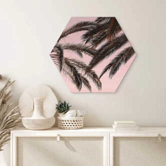 Hexagon Dibond 1X Studio - Palmen 