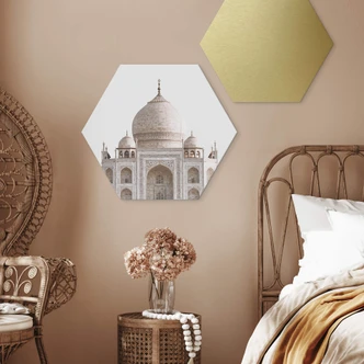 Hexagone - alu-Dibond Annie - Taj Mahal 