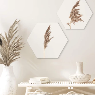 Hexagon Dibond Siergras No. 1 