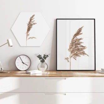 Hexagon Dibond Siergras No. 3 