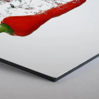 Hexagon - Alu-Dibond - Chilischote 