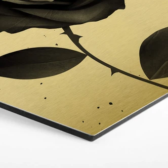 Hexagon Alu-Dibond Goudeffect - Ireland - Fabric Rose 