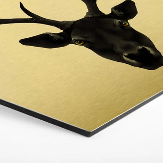 Hexagon Alu-Dibond Goudeffect Ireland - the Black Deer 