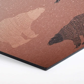 Hexagon - Alu-Dibond koper effect - Ijsberen 