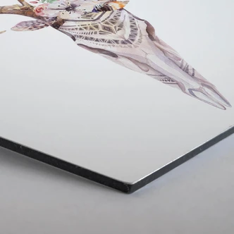 Hexagon alu-dibond - Kvilis - Boho Skull 