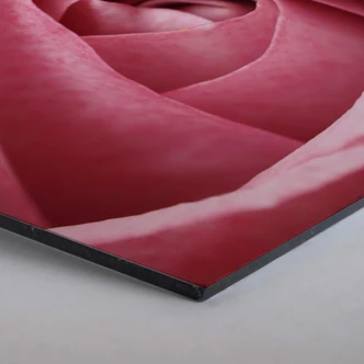 Hexagon alu-dibond - Pink Rose 