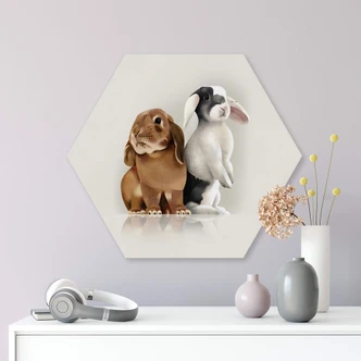Hexagon Dibond Braun - Bunny Love 