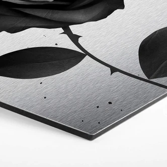 Hexagon Alu-Dibond Zilvereffect - Ireland - Fabric Rose 