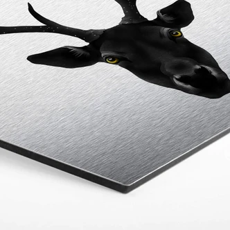 Hexagon - Alu-Dibond-Silbereffekt - Ireland - The Black Deer 
