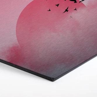 Hexagon - Alu-Dibond-Silbereffekt Nordic Creators - Pink Sunshine 