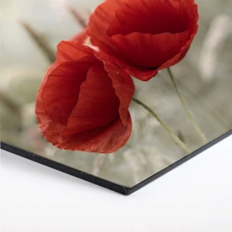 Hexagon Alu-Dibond Delgado - Klaprozenkoppel 