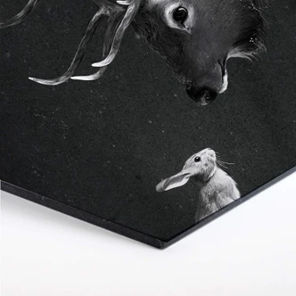 Hexagon - Alu-Dibond Graves - Deer and Rabbit 