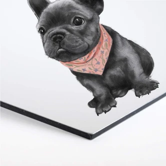 Hexagon - Alu-Dibond Graves - Frenchie 