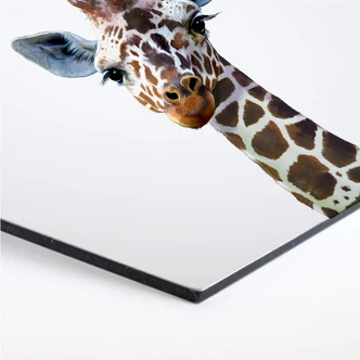 Hexagon - Alu-Dibond Graves - Giraffe 
