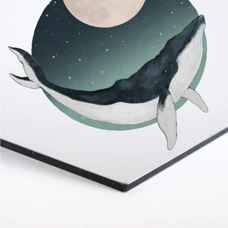 Hexagon - Alu-Dibond Graves - Humpback 