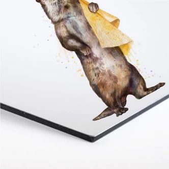 Hexagon - Alu-Dibond Graves - Otter 