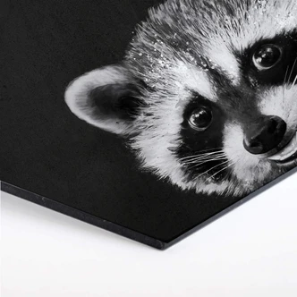 Hexagon - Alu-Dibond Graves - Wasbeer 