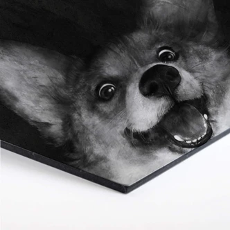 Hexagon - Alu-Dibond Graves - Sausage Fox Corgi 