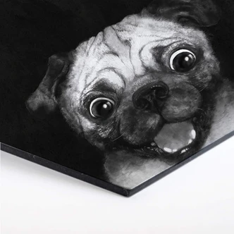 Hexagon - Alu-Dibond Graves - Snuggle Pug 