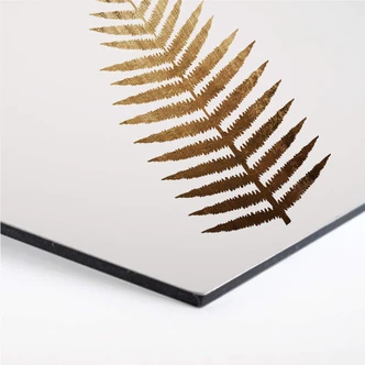 Hexagon - Alu-Dibond Kubistika – Golden Fern 
