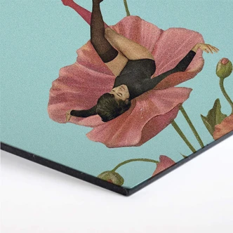 Hexagon Alu-Dibond - Léon - Colourful Dreamer 