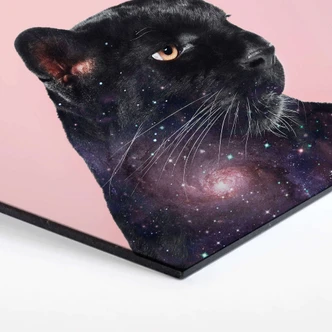 Hexagon - Alu-Dibond Loose – Galaxy Panther 