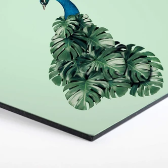 Hexagon - Alu-Dibond Loose - Monstera Bird 