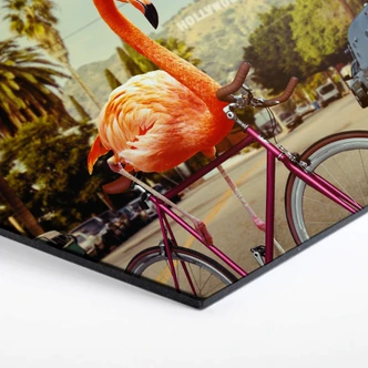 Hexagon alu-dibond Loose - Nothing is impossible 