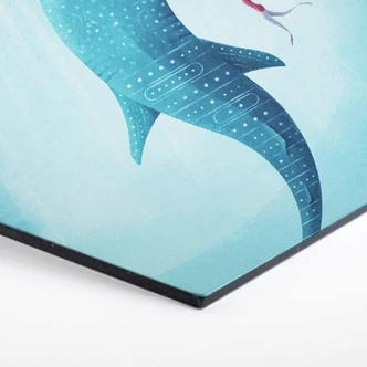 Hexagon alu-dibond Rivers - de Walvishaai 