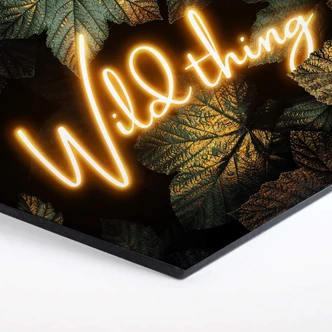 Hexagon Dibond Alu-Dibond Fredriksson - Wild thing 