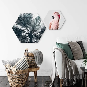 Hexagon Dibond Sisi & Seb - Roze Kaketoe 