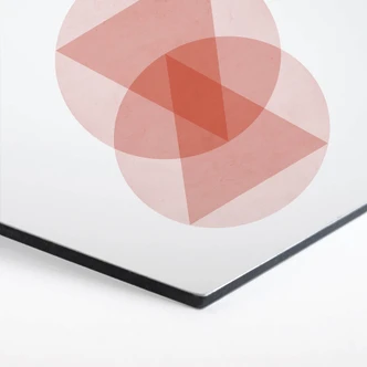 Hexagon - Alu-Dibond Nouveauprints - Circles and triangles pink 