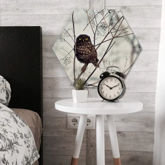 Hexagon Dibond Avramescu - Uil 