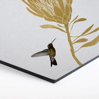 Hexagon Dibond Orara Studio - Hummingbird & Flower 