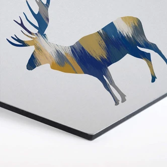 Hexagon - Alu-Dibond Orara Studio - Moose Blue and Yellow 