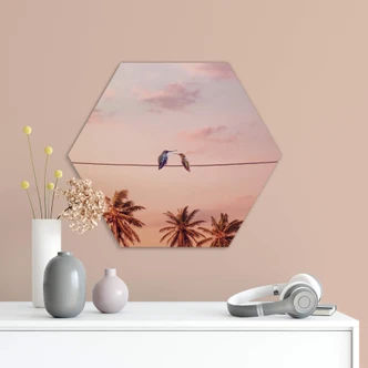 Hexagon Dibond Loose - Hummingbirds in Love 