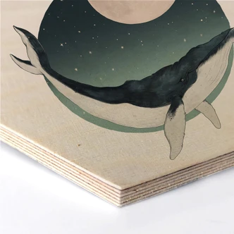 Hexagon - Holz Birke-Furnier Graves - Humpback 