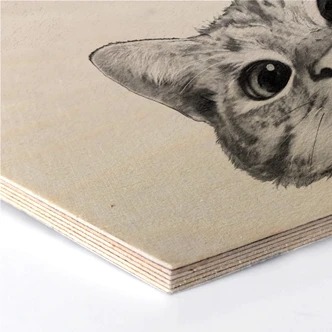 Hexagon berkenfineer - Graves - Sneaky Cat 