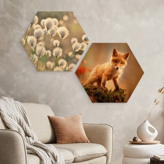Hexagon - Holz Adamec - Junger Fuchs im Wald 