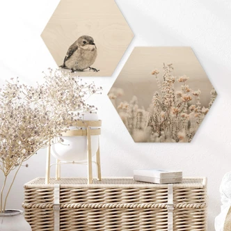 Hexagone - Bois Annie - Fleurs de glace 