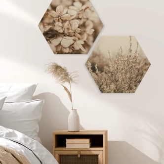 Hexagone - Bois Annie - Herbes 