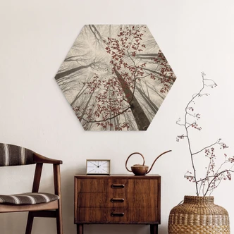 Hexagone - Bois Cimes d'arbres aux feuilles rouges - Coman 
