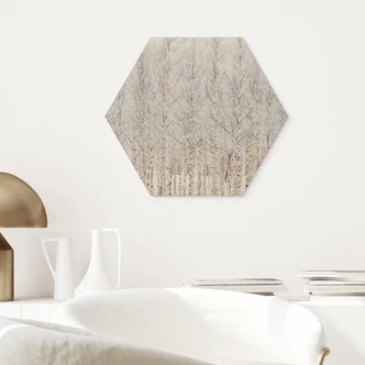 Sekskantet billede af træ birkeskov om vinteren - EMELIEmaria 