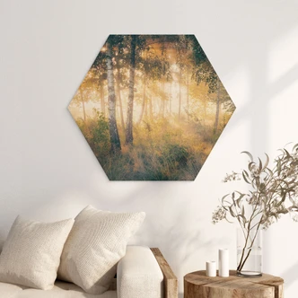 Hexagone - Bois Soleil dans la forêt de bouleaux - Kado 