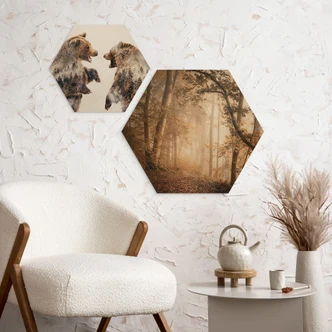 Hexagone - Bois Forêt dans la brume du matin - Maier 