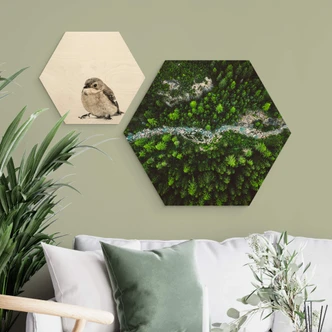 Hexagon - Holz Murko - Mutter Natur 