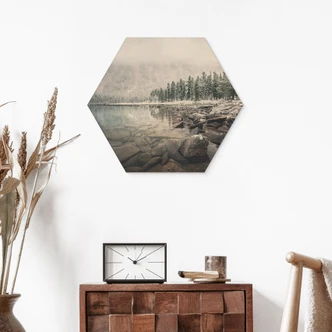 Sekskantet billede af træ vinterskov ved søen - Rostovskiy 